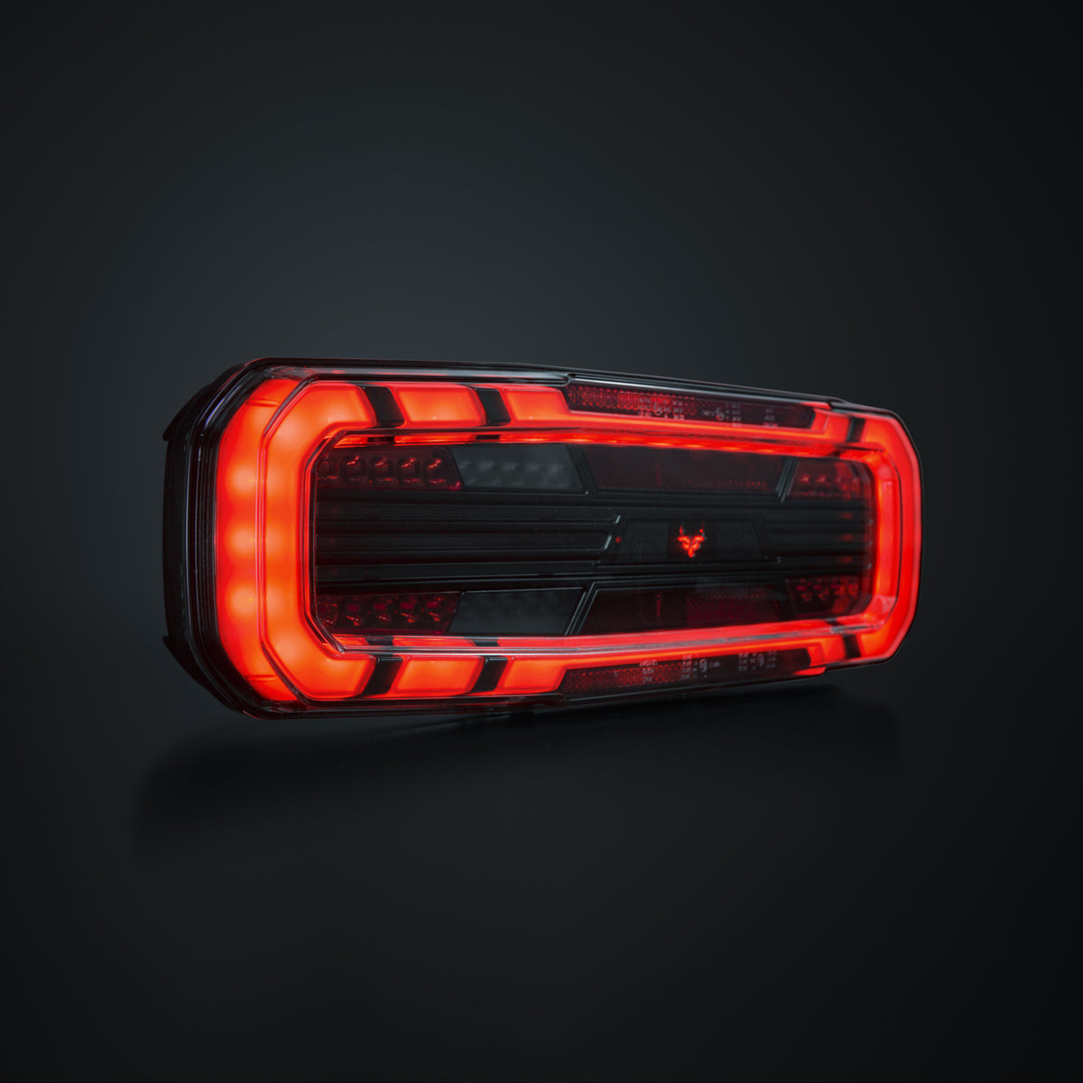 Strands Large 400mm Rear Dark Style Tail Light / 5 Functions