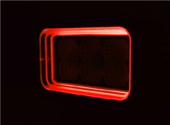 Boreman Cube Tunnel Effect Rectangular Work Light 30W / Dual Colour