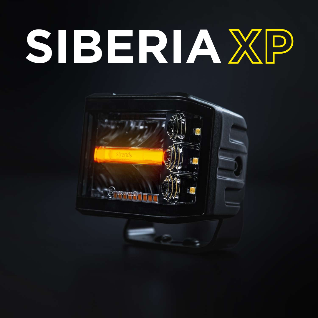 strengen rode vos xp licht